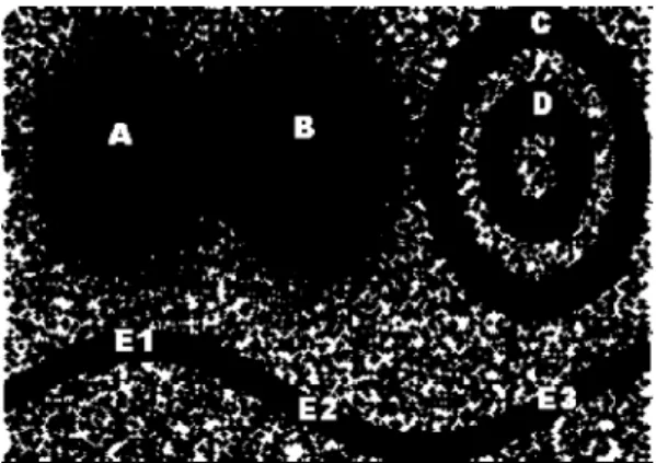 Fig. 1. Voronoi regions of nodes (Left, before insertion; Right, after