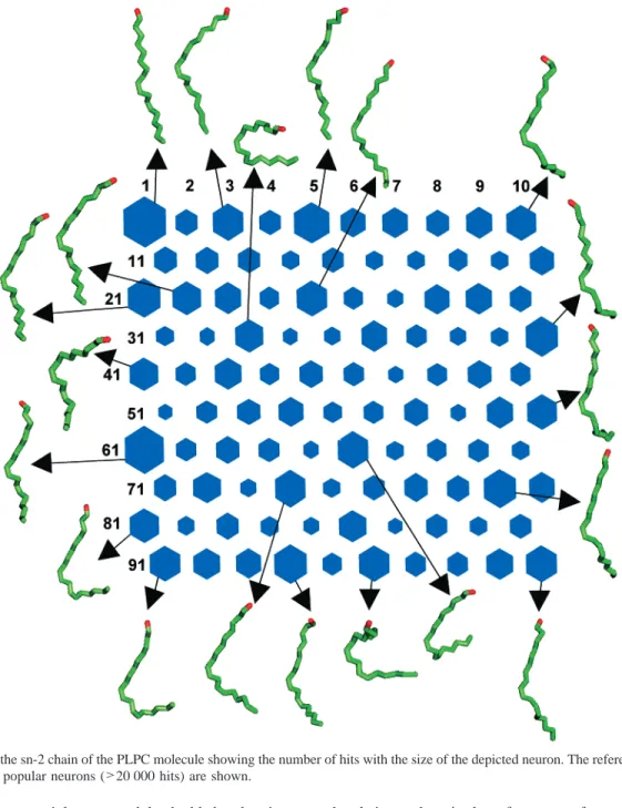 Figure 3. SOM of the sn-2 chain of the PLPC molecule showing the number of hits with the size of the depicted neuron