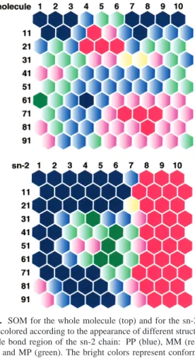 Figure 5. SOM for the PLPC molecule (top) and its sn-2 chain (bottom) showing with the size of the neuron the average time for one visit in each neuron by one of the 36 lipids