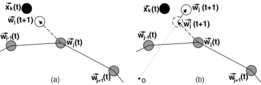 Fig. 2. A schematic view of two diﬀerent learning rules. (a) The learning rule for the traditional SOM; (b) The learning rule for the ESOM