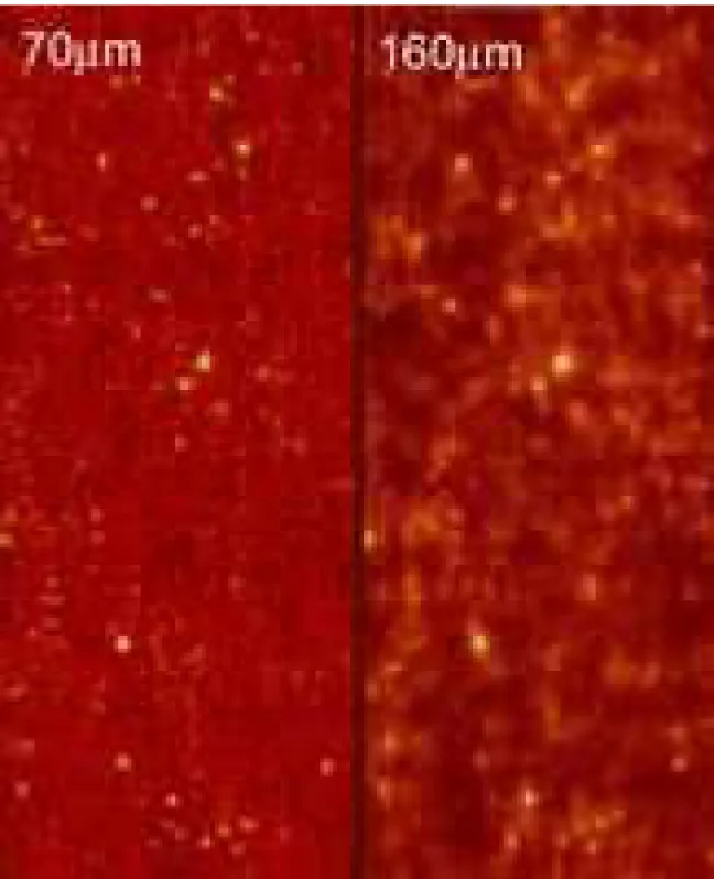 Fig. 1.— MIPS observations of the Chandra Deep Field South at 70 and 160 µm. The field covers an area of 25 ′ × 1 ◦ .