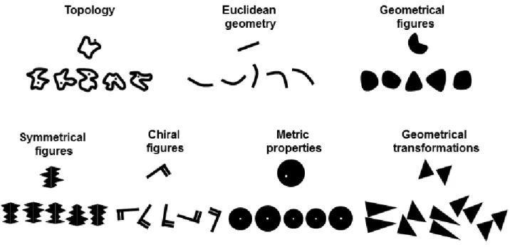 Figure 2. Examples of each geometrical category in the intuitive geometry task (Dehaene et al.,  2006)