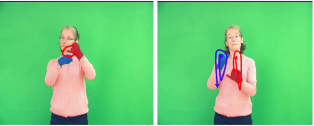 Figure 2.1: Examples of signs with similar hand posture. Signs must be distinguished using motion.