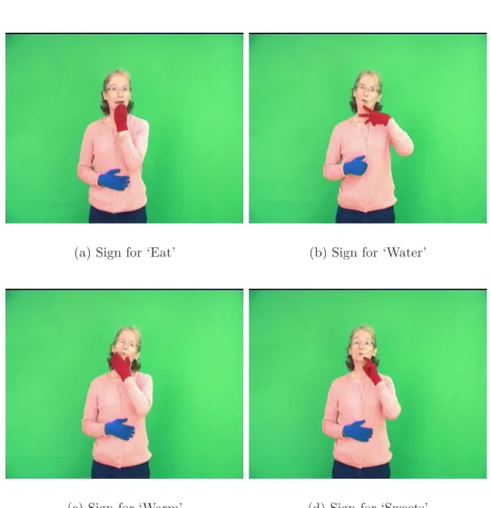 Figure 2.3: Examples of signs with similar location of articulation. Signs must be distinguished using hand posture.