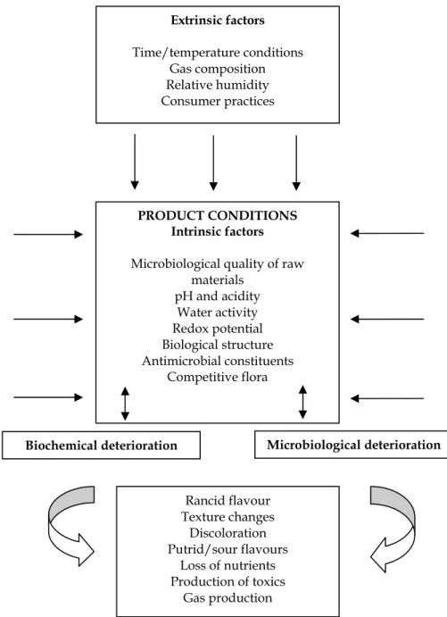Fig. 1. Deterioration processes during food storage (adapted from Huis in`t Veld, 1996) 