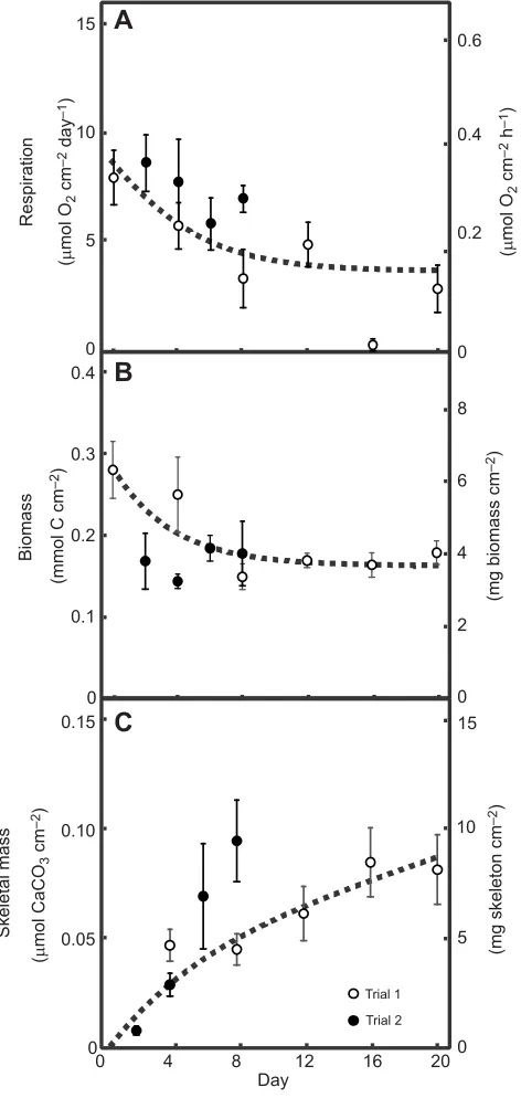 Fig. 2. Coral response to resource limitation. The dynamics of (A)for juvenile massive2, 4, 6, 8, 10, 12, 16 or 20 days)