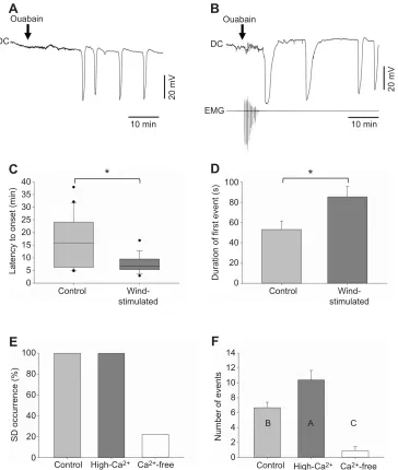Fig. 2. Activity dependence of ouabain-induced SD. (A,B) Representative traces of the DC potential recorded from within the MTG during bath application of5×10−4 mol l−1 ouabain under control conditions (A, no wind stimulation) and experimental conditions (