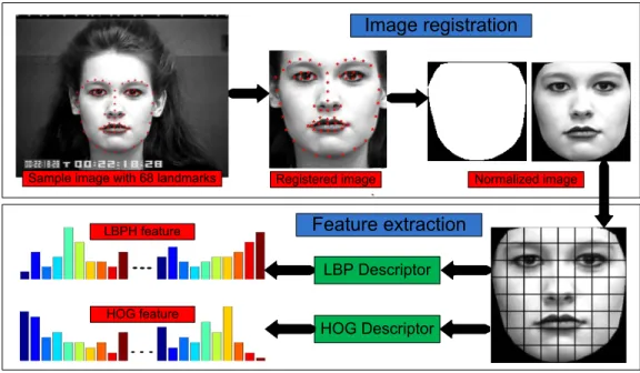 Figure 3.2: Facial feature extraction on the CK+ database