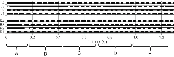 Table 3. Summary kinematic data for mites filmed in the lab while using two different modes of turning