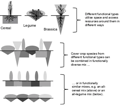 Figure 2: An illustration of the functional types used in this study, and the expected effects of 