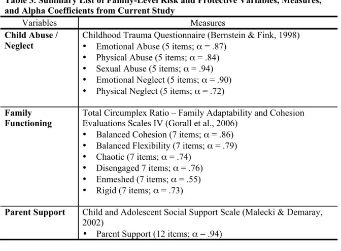 Table 3. Summary List of Family-Level Risk and Protective Variables, Measures,  and Alpha Coefficients from Current Study 