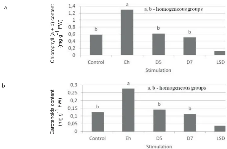 Fig. 2. Effect of stimulation of sugar beet seeds on the hypocotyl length (mm).