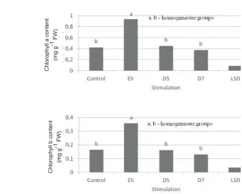 Fig. 6. Effect of stimulation of sugar beet seeds on the dry matter content in the roots (%)