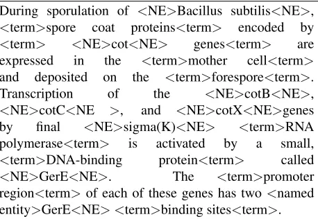 Figure 4: Named entity and term tagging.
