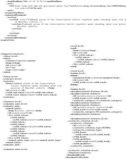 Figure 6: Example of the input and output of the linguistic annotation process.