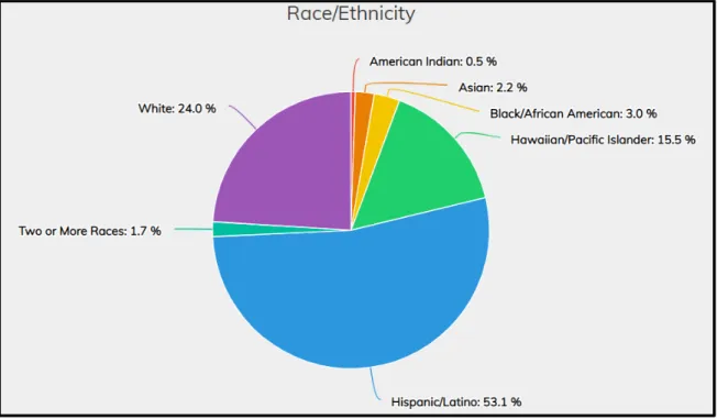 Figure 1.2: 2017-18 Race/Ethnicity for NHS (ADE, 2018) 