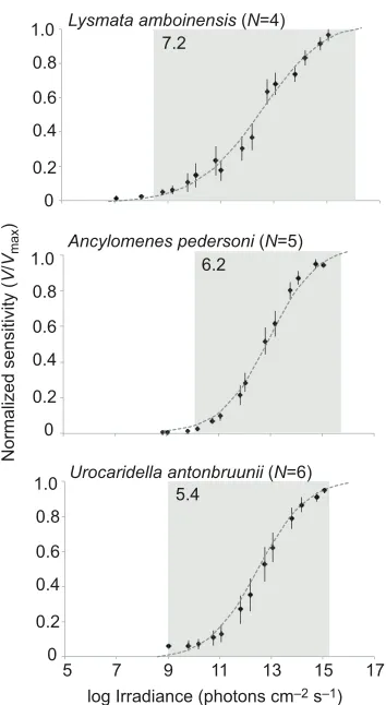 Fig. 4. Spatial resolution in L. amboinensisBoxes indicate the 25% and 75% quartiles, and the heavy black line indicatesthe median