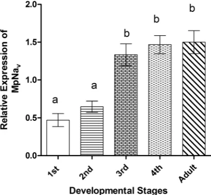 Figure 1. Stage-specific expression pattern of the by qRT-PCR. The letters above the bars show significant differences (least significant difference in one-way analysis of variance, P Mean M