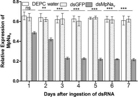 Figure 2. Dietary delivery of independent experiments. body 1 to 7 days after the indicated dietary treatments of MpNacompared with controls using ANOVA (Tukey Kramer multiple comparison, p indicates non-significant, P MpNav dsRNA alters MpNav expression i