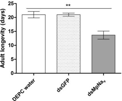 Figure 3. Mortality rate of DEPC water, dsGFP and dsMpNaM. persicae fed artificial diets