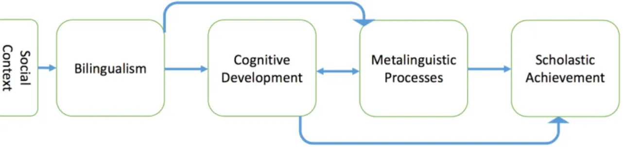 Figure 2.1. A model of the relationship between bilingualism, metalinguistic processes and  cognitive development, Based on Mohanty, 1994 