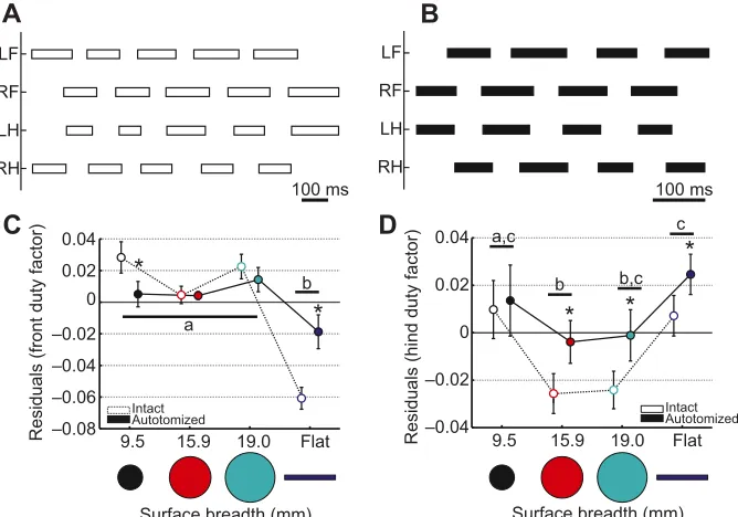 Fig. 4. Representative footfall diagrams and duty factor of intact and autotomized lizards