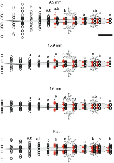 Fig. 5. Mean mediolateral body excursion ranges when running on