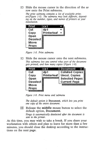 Figure 1-8. Print submenu 