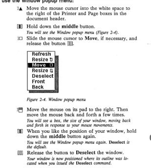 Figure 2-4. Window popup menu 