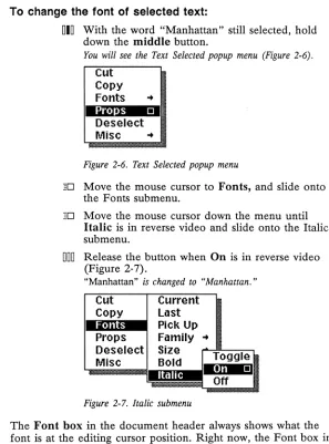 Figure 2-6. Text Selected popup menu 