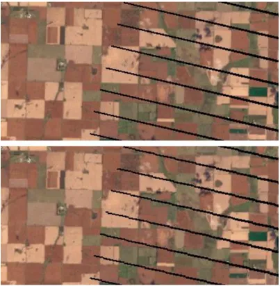 Figure 1. Example of the difference between (top) ARD data defined in the Albers projection, (bottom) the equivalent data that was nearest neighbor resampled from Collection 1 UTM into the Albers projection (i.e., resampled twice with reduced apparent geom