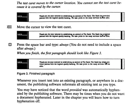 Figure 3. Finished paragraph 