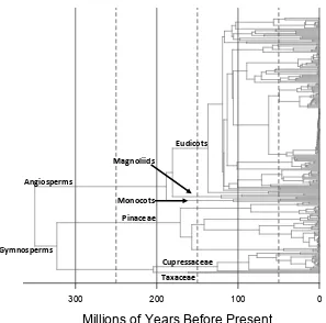 Figure 2. Phylogeny of all tree species present in the contiguous United States in the US FIA dataset,based on the phylogenies for gymnosperms and angiosperms in Ma et al