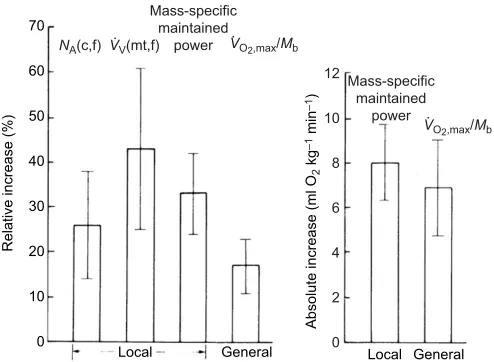Fig. 3 as elevations in ATPmax of the quadriceps (ΔATPmax, 32%)and the power output by the legs aṫ V (ΔP, 17%)