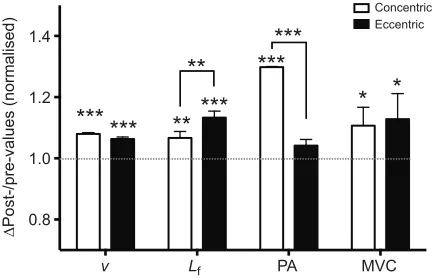 Fig. 10. Contraction-dependent muscle growth in response to eccentricand concentric resistive training in young males