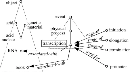 Table 2. Main characteristics of µKosmos and EWN.  