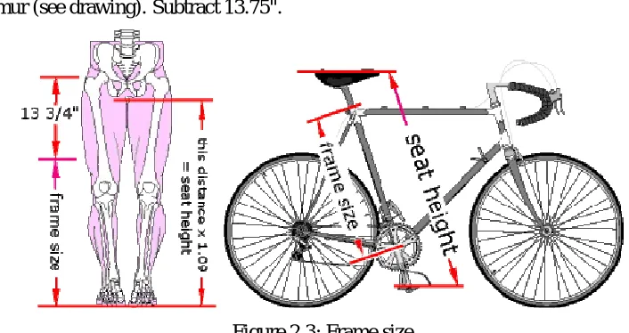 Figure 2.3: Frame size  