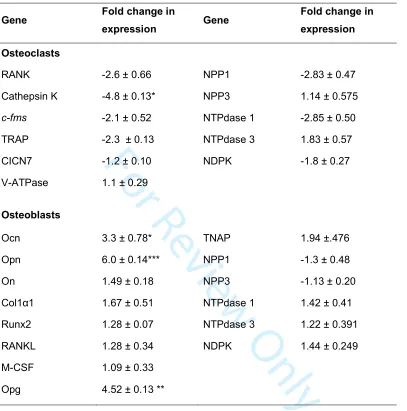 Table 1: The effect of P2Y2 receptor deletion on gene expression in osteoblasts and 