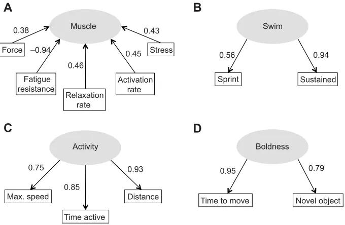 Fig. 2. The inner model of the path analysis showing relationshipsbetween latent variables