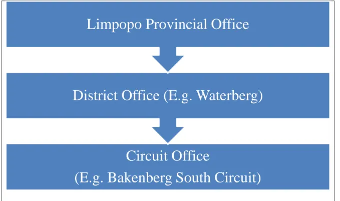 Table 3. 1: The Organisational Chart of Limpopo DBE 