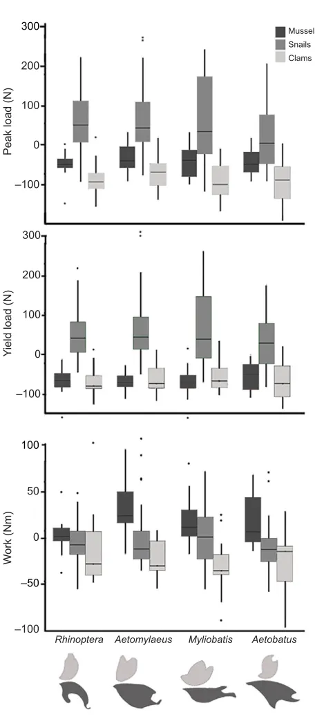 Fig. 5. Box whisker plots showing size-corrected crushing performanceon live mollusks
