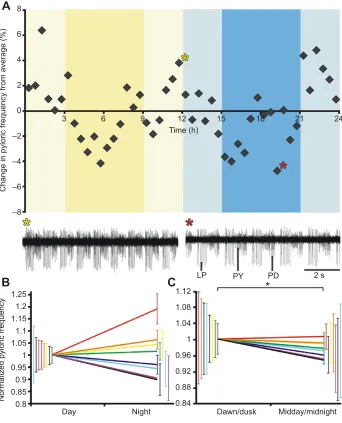 Fig. 2. The pyloric cycle frequency under LDconditions increases during dawn and dusk.̄̄yy(A) Percentage change from average pyloriccycle frequency over 3 days for 8 animals