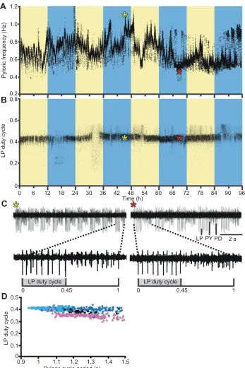 Fig. 4. Example in vivo LP duty cycle andpyloric cycle frequency over 4 days under LDlight cycle in one animal