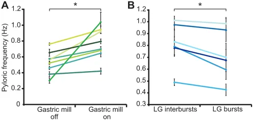 Fig. 6. Gastric mill cycle frequency is correlated with pyloric cyclefrequency. Spearman rank order tests revealed significant positivecorrelations between gastric mill and pyloric cycle frequencies for all animals.Different colors represent different anim