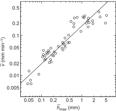 Fig. 5. Size dependence of longitudinalhmax ¼00:42+0:030:50+0:04���xpoints fit to the lineL ¼8:3Vl0:66+0:02