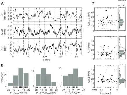 Fig. 8. Large, size-independent long-term variation in speed, shape and intrinsic period