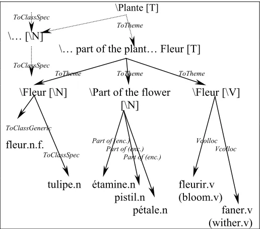 Table 1 Size of the lexicon broken down by category. 