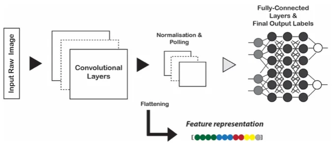 Figure 2.Figure 2. Representation learning scheme. Deep feature extraction from the pretrained Convolutional Neural Network (CNN) model