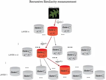 Figure 4. Figure 4. Schematic representation of searching through hierarchical nested structure and retrieve theSchematic representation of searching through hierarchical nested structure and retrieve the most similar images (winner cluster) to the query