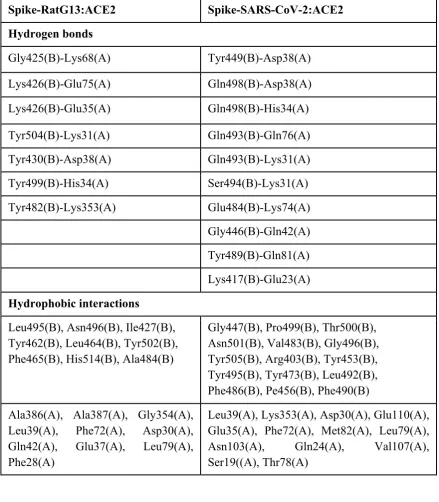 Table S2. Pre-MD protein-protein interactions between spike protein of SARS-CoV-2 (chain B) and RaTG13 (chain B) and host receptor ACE2 (chain A)